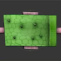 Detailed Plant Leaf Cross Section With Epidermis Projections Mesophyll Cells And Vessels