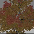 Deciduous Tree With Red And Yellow Leaves And White Rocks Around Gray Background 3d model