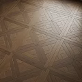 Intricate Geometric Patterned Wooden Floor With Shiny Finish Under Natural Light