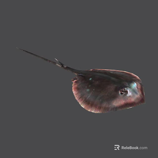 Stingray Swimming With Flat Body Long Tail And Shiny Brownish Purple Skin In Aquatic Environment 3d model 