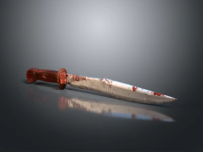 Bloodstained Dagger With Wooden Handle And Sharp Blade On Gray Background With Reflection 3d model