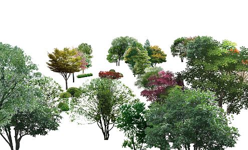 Modern Tree Landscape Plant Flowers 3d model