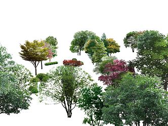 Modern Tree Landscape Plant Flowers 3d model