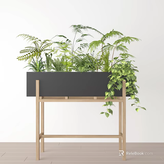 Various Green Potted Plants In Black Rectangular Planter On Wooden Stand With White Wall Background 3d model 