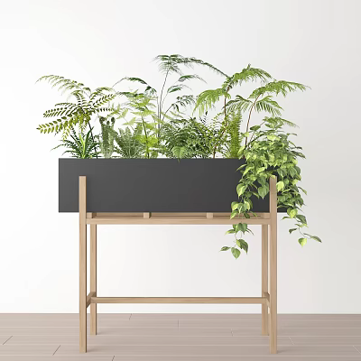 Various Green Potted Plants In Black Rectangular Planter On Wooden Stand With White Wall Background 3d model