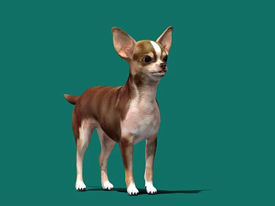 Game and Movie Character Chihuahua in Brown and White Standing Pose on Green Background 3d model