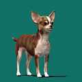 Game and Movie Character Chihuahua in Brown and White Standing Pose on Green Background