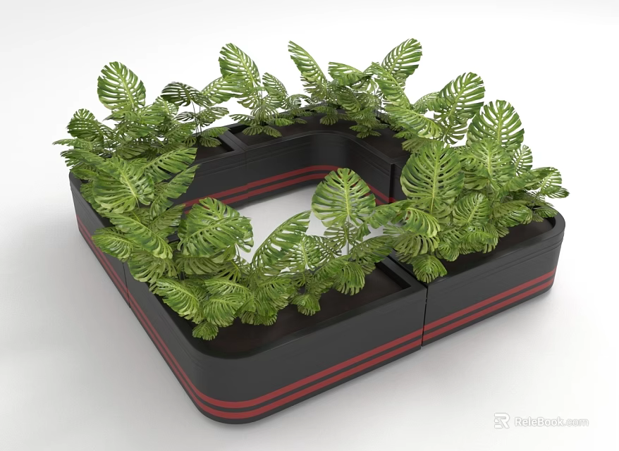 Lush Green Foliage Plants In Square Black Planter With Red Stripes 3d model 