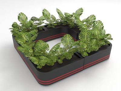 Lush Green Foliage Plants In Square Black Planter With Red Stripes 3d model