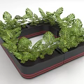 Lush Green Foliage Plants In Square Black Planter With Red Stripes