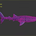 Vibrant Blue Shark Sculpture Featuring Intricate Patterns And Marine Art Design