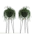 Indoor Decorative Potted Plants with Various Green Foliage in Black Pots and Metal Stands