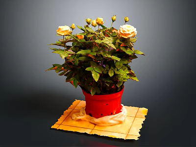 Yellow Flowering Potted Plant With Green Leaves In Red Pot On Yellow Mat 3d model