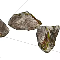 Natural Stone And Wood Elements With Mossy Textures For Home Design