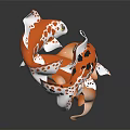 Vibrant Koi Fish With Orange White Black Spots Swimming Against Dark Background With Glossy Scales