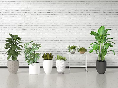 Various Potted Plants With Different Pots And Green Leaves Against White Brick Wall 3d model