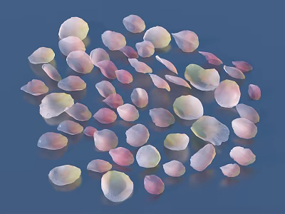 Scattered Flower Petals In Pastel Pink White And Purple On Deep Blue Background 3d model