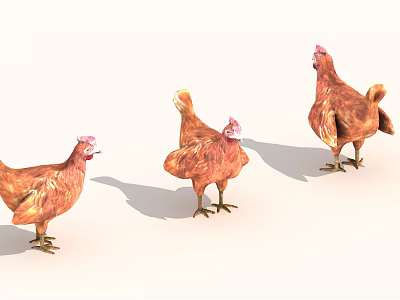 Three Brown Reptiles Standing On White Background In Bright Light 3d model