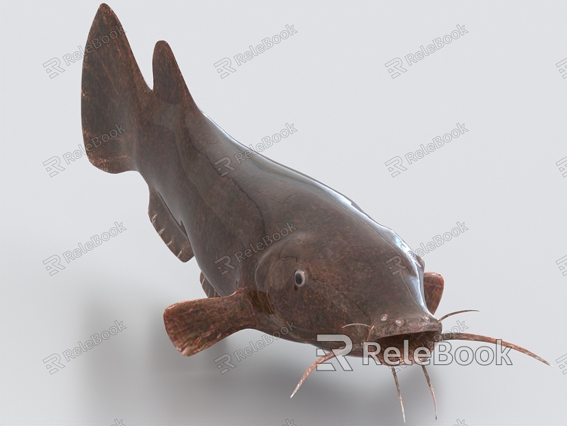 electric catfish catfish model