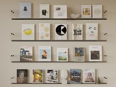 Collection of Books Magazines on Wall Mounted Shelves with Various Cover Designs 3d model