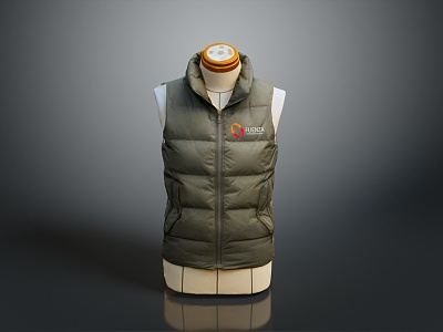 Vest waistcoat cotton waistcoat down waistcoat down jacket thick waistcoat winter coat cotton coat 3d model