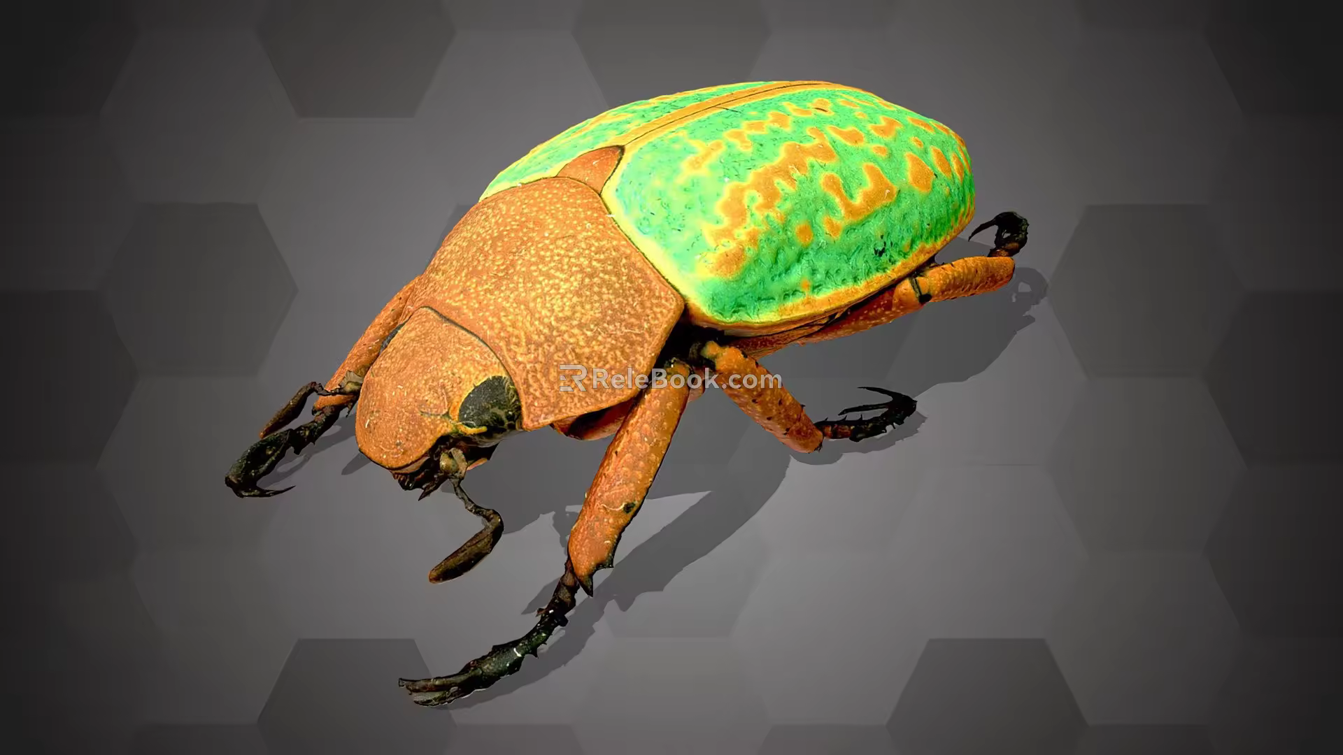 Modern Beetle 3d model