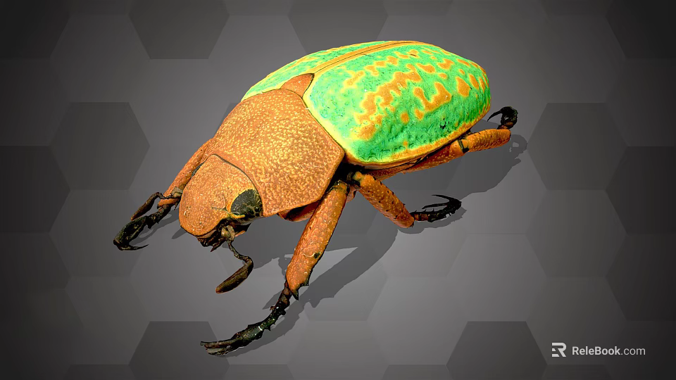 Colorful Flying Beetle With Green Orange Carapace And Insect Body Features 3d model 