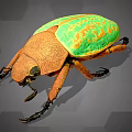Modern Beetle 3d model
