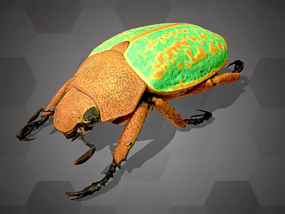 Colorful Flying Beetle With Green Orange Carapace And Insect Body Features 3d model