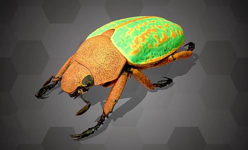 Modern Beetle 3d model