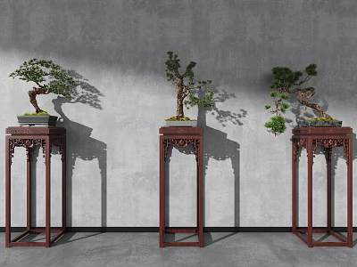 New Chinese Bonsai Bonsai 3d model
