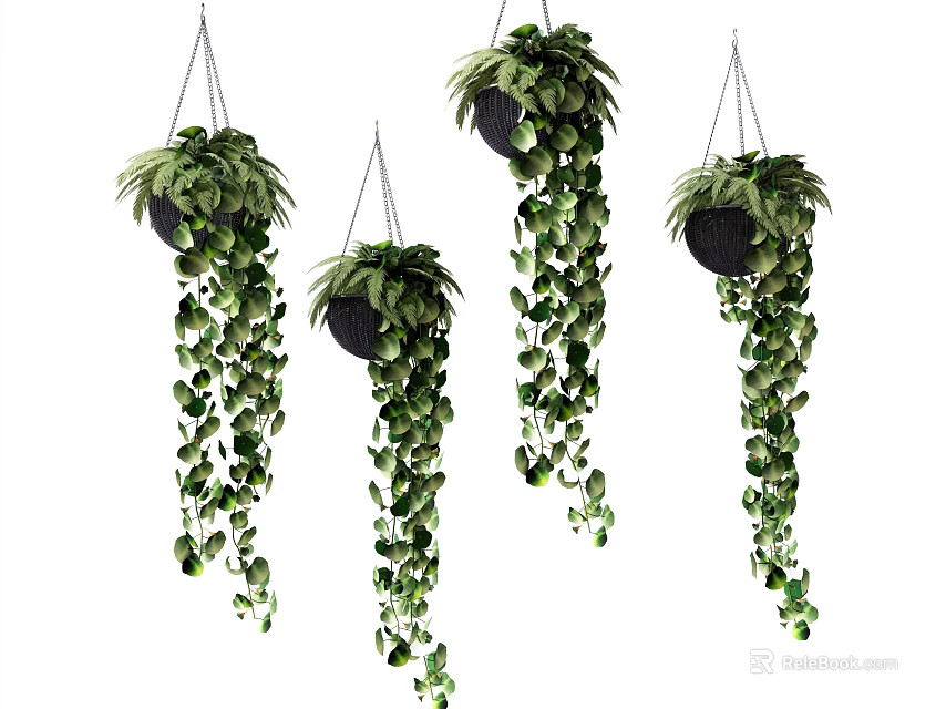 Lush Green Hanging Basket Plants With Trailing Leaves For Home Decoration 3d model 