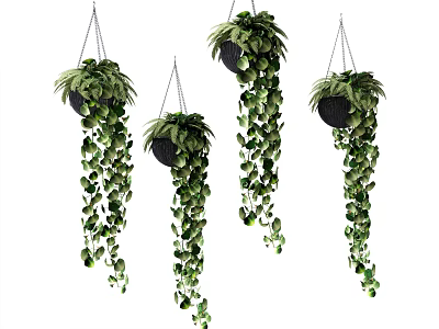 Lush Green Hanging Basket Plants With Trailing Leaves For Home Decoration 3d model