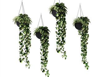 Modern hanging basket plant green plant 3d model