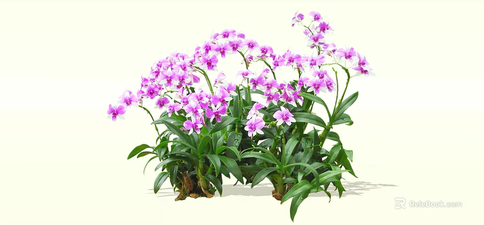 Vibrant Purple Orchid Shrub With Lush Green Leaves And Abundant Flowers 3d model 