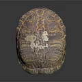 Open Turtle Shell With Detailed Brownish Patterns And Natural Texture 3d model