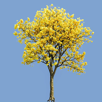 yellow flower wind suzuki red flower wind suzuki purple flower wind suzuki 3d model