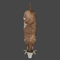 Brown And White Cow With Horns Standing On Gray Background