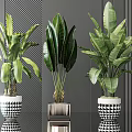 Large Leafy Potted Green Plants In Stylish Patterned And Square Planters For Modern Indoor Decor
