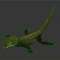 Detailed Realistic Brown Lizard With Long Tail Scales Open Mouth Yellow Eyes On Dark Background