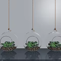 Three Transparent Glass Hanging Planters With Succulents And Golden Base Decoration
