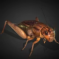 Realistic 3D Render Of Brown Reptile With Long Legs And Shiny Skin Texture