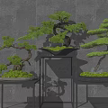 Bonsai Trees with Curved Branches on Black Metal Stands Against Gray Wall and Wooden Floor