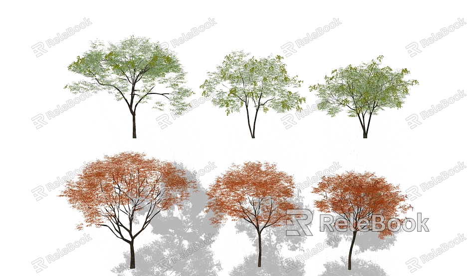 Modern Tree Red Leaf Maple Tree model