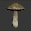 Shiny Metallic Mushroom With Glossy Cap And Stem On Dark Background