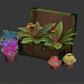 Potted Plants in Open Vintage Wooden Trunk with Small Flower Pots