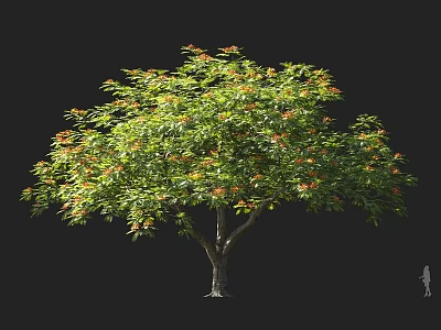 Lush Arbor Featuring Green Leaves Orange Flowers And Sturdy Trunk With Human Figure 3d model