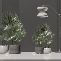 Stylish Potted Bonsai Plants In Modern Interior With White Gray Pots And Floor Lamp