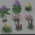 Assorted Garden Flowers And Plants With Purple Pink Yellow Blooms And Clusters