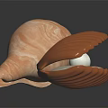 Light Brown Spiral Conch and Orange Red Striped Scallop on Black Background with Reflections